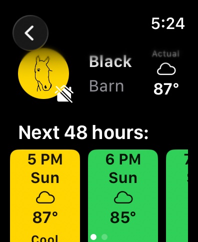 Apple Watch — hourly detail